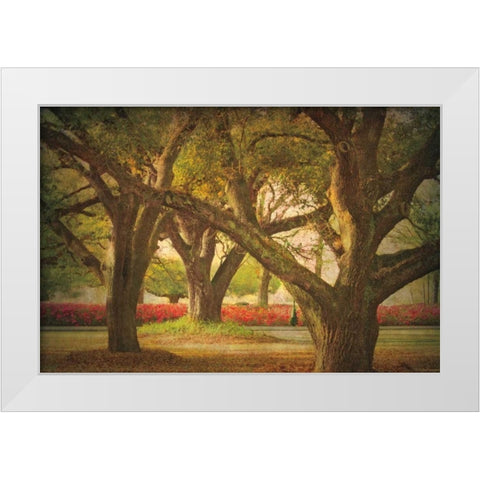 Three Oaks and Azaleas White Modern Wood Framed Art Print by Guion, William