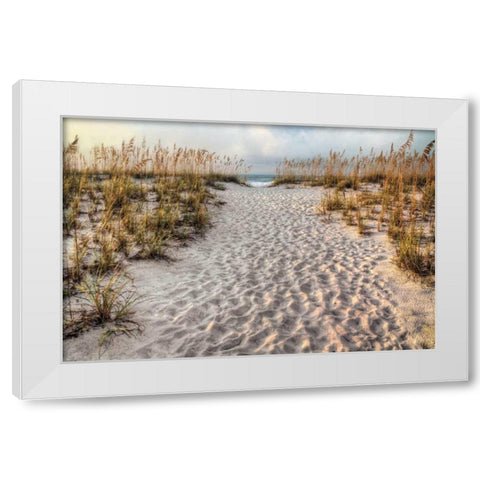 Path to the Beach White Modern Wood Framed Art Print by Cahill, Michael