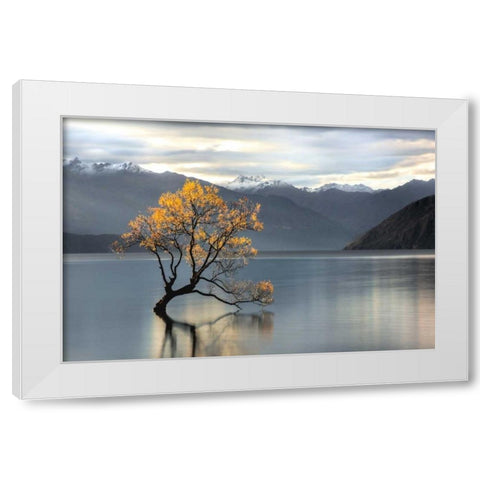 Undisturbed White Modern Wood Framed Art Print by Michael Cahill