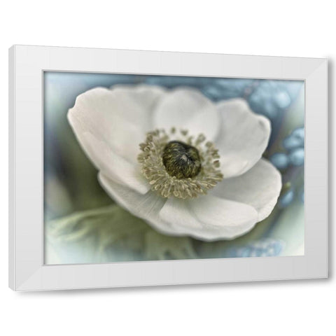 Inspired White Modern Wood Framed Art Print by Frank, Assaf