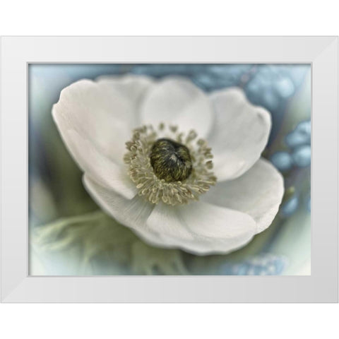 Inspired White Modern Wood Framed Art Print by Frank, Assaf