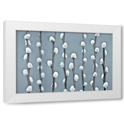Protected White Modern Wood Framed Art Print by Frank, Assaf