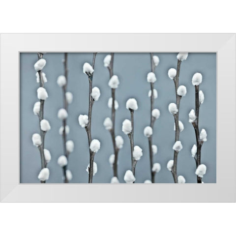 Protected White Modern Wood Framed Art Print by Frank, Assaf