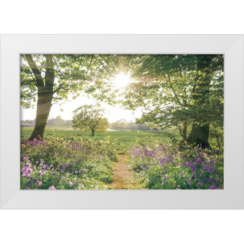 Something Beautiful White Modern Wood Framed Art Print by Frank, Assaf