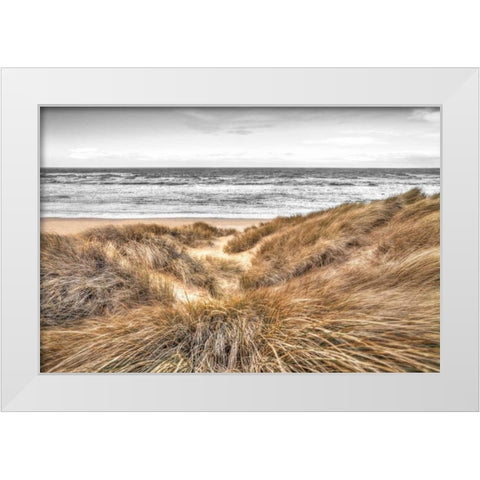 Beach Dunes White Modern Wood Framed Art Print by Frank, Assaf