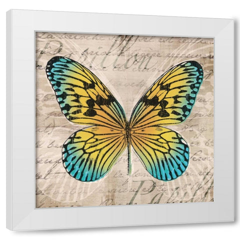 Butterflies I White Modern Wood Framed Art Print by Venter, Tandi