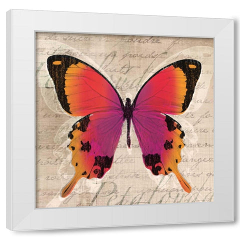 Butterflies III White Modern Wood Framed Art Print by Venter, Tandi