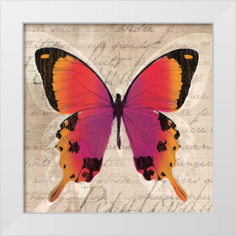 Butterflies III White Modern Wood Framed Art Print by Venter, Tandi