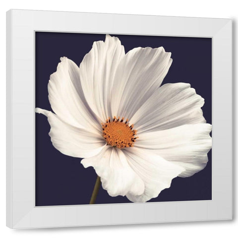 Cosmos I White Modern Wood Framed Art Print by Frank, Assaf