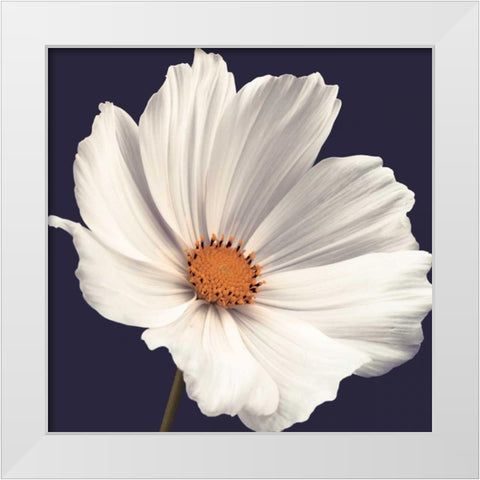Cosmos I White Modern Wood Framed Art Print by Frank, Assaf
