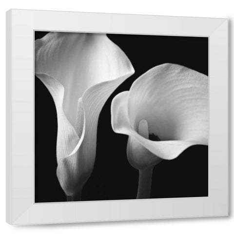 Softness II White Modern Wood Framed Art Print by Frank, Assaf