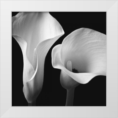 Softness II White Modern Wood Framed Art Print by Frank, Assaf