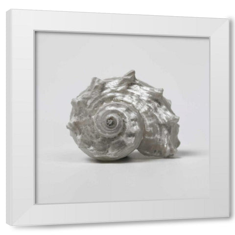 Beachside Treasure III White Modern Wood Framed Art Print by Frank, Assaf