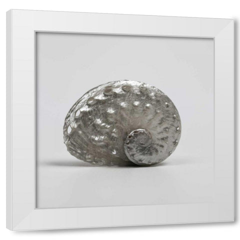 Beachside Treasure IV White Modern Wood Framed Art Print by Frank, Assaf