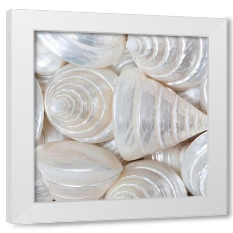Opalesque II White Modern Wood Framed Art Print by Frank, Assaf