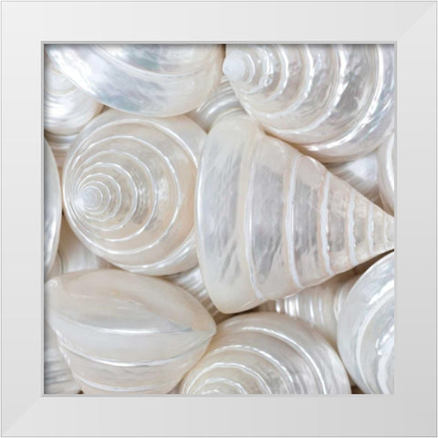 Opalesque II White Modern Wood Framed Art Print by Frank, Assaf