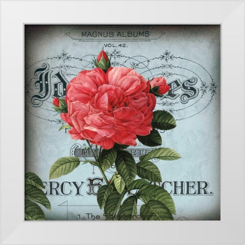 Petite Rose I White Modern Wood Framed Art Print by Berg, Sabine