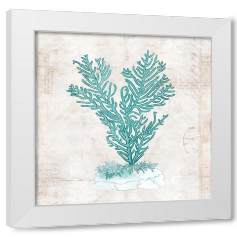 Under the Sea II White Modern Wood Framed Art Print by Berg, Sabine