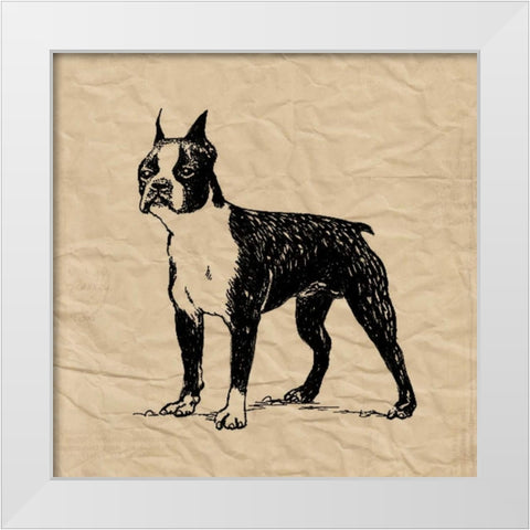Boston Terrier White Modern Wood Framed Art Print by Berg, Sabine