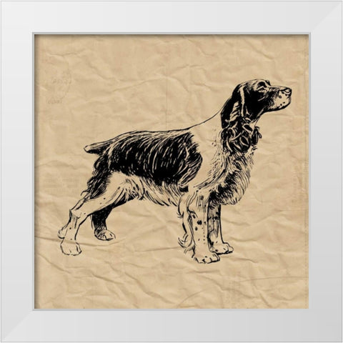Spaniel White Modern Wood Framed Art Print by Berg, Sabine