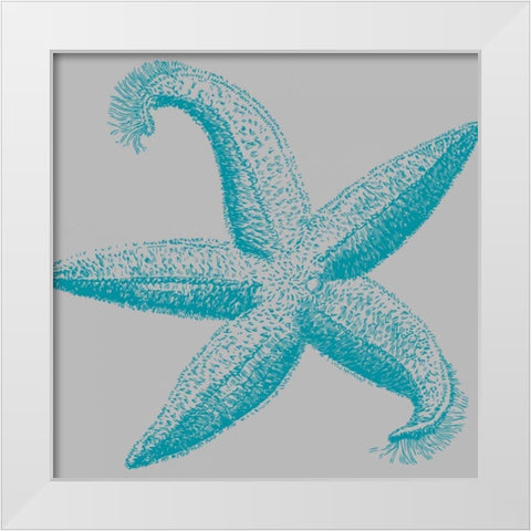 Sea Stars I White Modern Wood Framed Art Print by Berg, Sabine