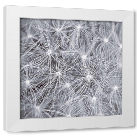 Natural Designs I White Modern Wood Framed Art Print by Frank, Assaf