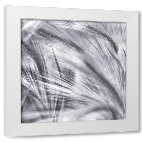 Natural Designs IV White Modern Wood Framed Art Print by Frank, Assaf