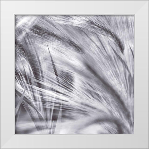 Natural Designs IV White Modern Wood Framed Art Print by Frank, Assaf