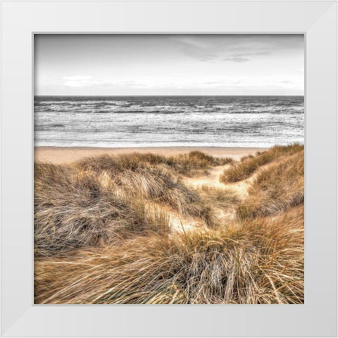 Beach Dunes White Modern Wood Framed Art Print by Frank, Assaf