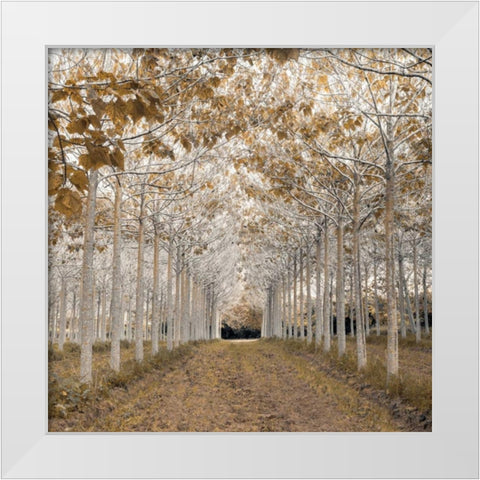 White Gold White Modern Wood Framed Art Print by Frank, Assaf