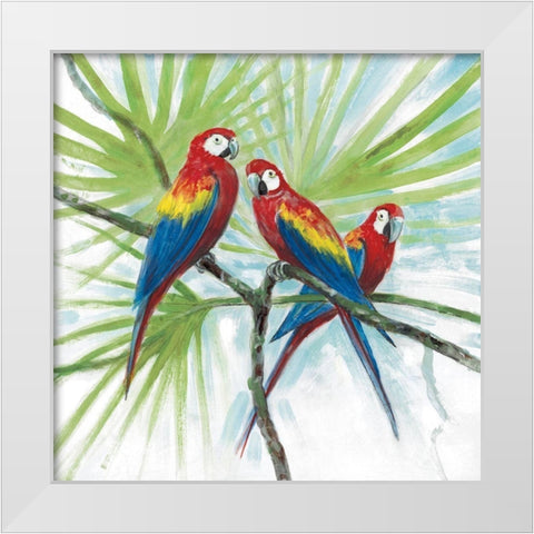 Parrots White Modern Wood Framed Art Print by Fisk, Arnie