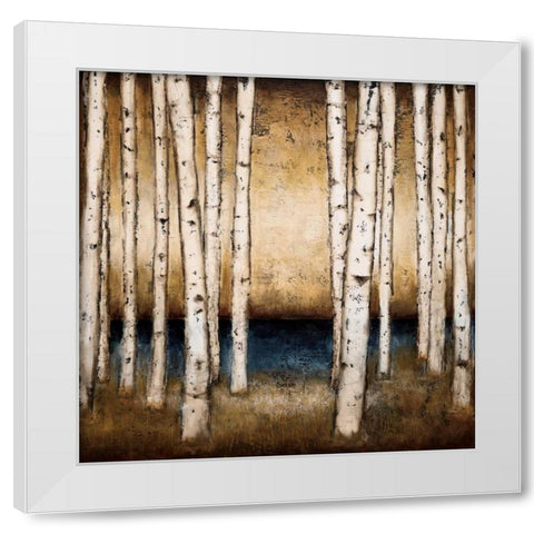 Birch Landing White Modern Wood Framed Art Print by St.Germain, Patrick