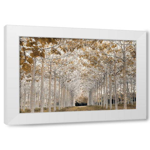 White Gold White Modern Wood Framed Art Print by Frank, Assaf