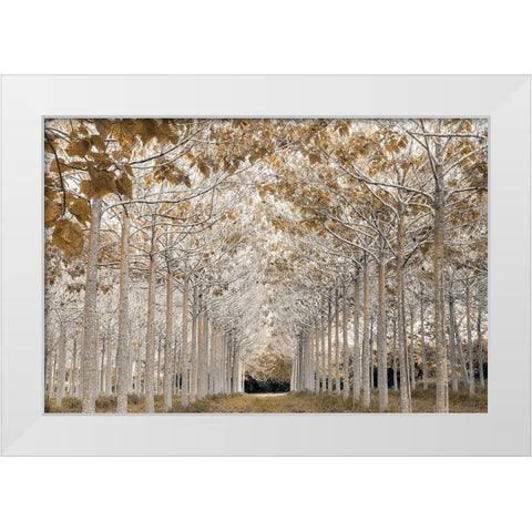 White Gold White Modern Wood Framed Art Print by Frank, Assaf