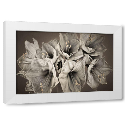 Grand Floral White Modern Wood Framed Art Print by Frank, Assaf