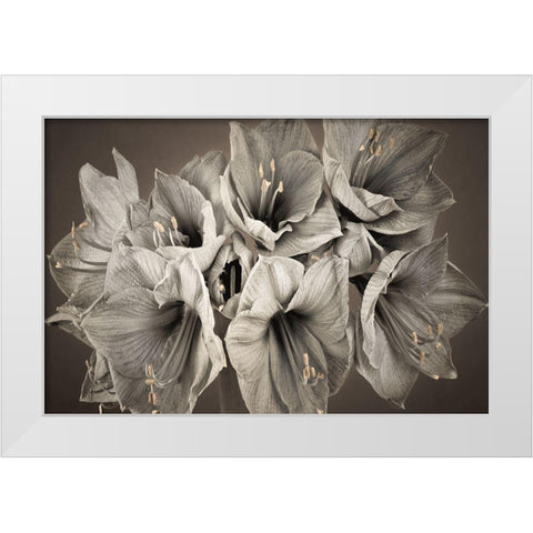 Grand Floral White Modern Wood Framed Art Print by Frank, Assaf
