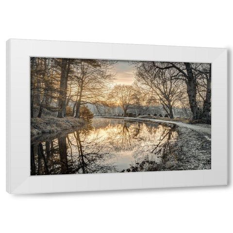 Frosty Morning White Modern Wood Framed Art Print by Frank, Assaf