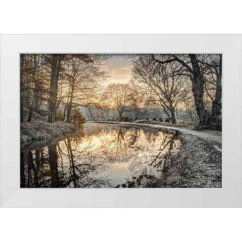 Frosty Morning White Modern Wood Framed Art Print by Frank, Assaf