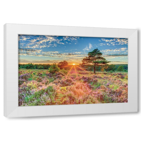 Heathland Sunset White Modern Wood Framed Art Print by Frank, Assaf