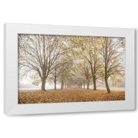 Autumns Peace White Modern Wood Framed Art Print by Frank, Assaf