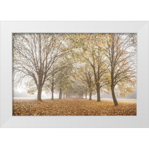 Autumns Peace White Modern Wood Framed Art Print by Frank, Assaf