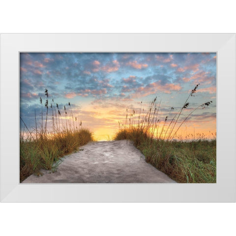 Over the Top White Modern Wood Framed Art Print by Celebrate Life Gallery,