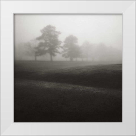 Fog Tree Study II White Modern Wood Framed Art Print by Cook, Jamie