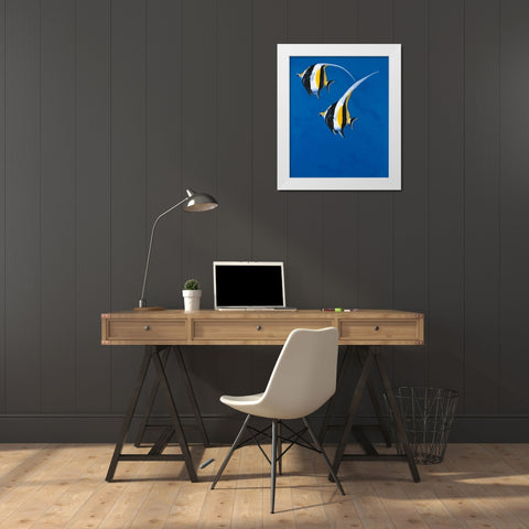 Moorish Idols - Blue White Modern Wood Framed Art Print by Siddle, Keith