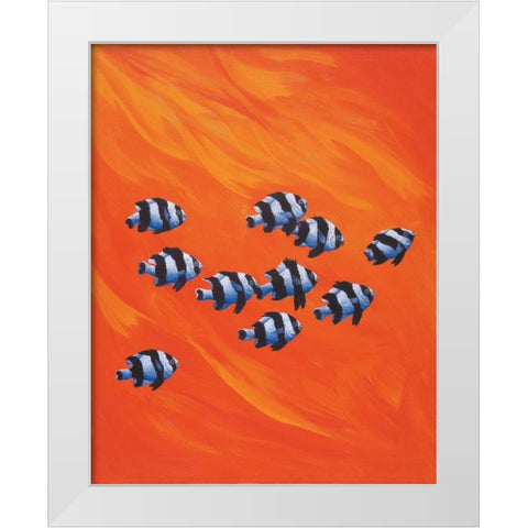 10 Black-Tailed Humbugs White Modern Wood Framed Art Print by Siddle, Keith