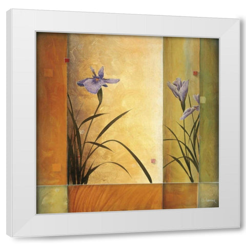 Terra Cotta Garden White Modern Wood Framed Art Print by Li-Leger, Don