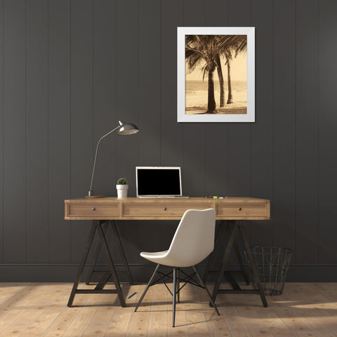 Palm Beach II White Modern Wood Framed Art Print by Kelly, Dennis
