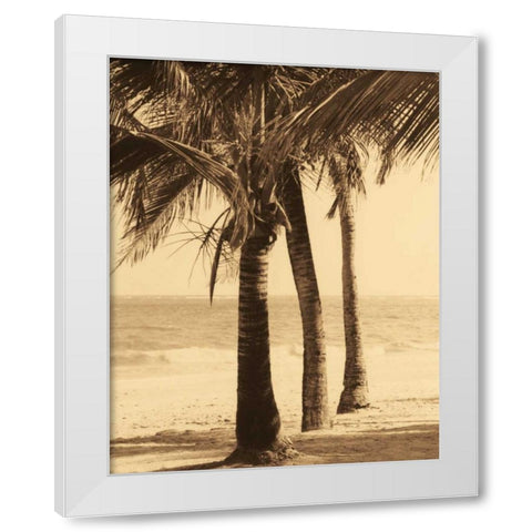 Palm Beach II White Modern Wood Framed Art Print by Kelly, Dennis