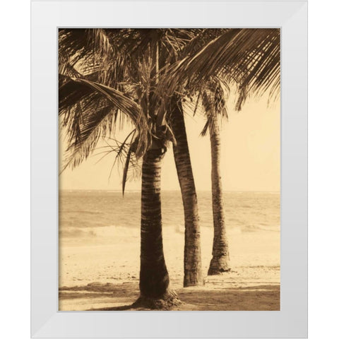 Palm Beach II White Modern Wood Framed Art Print by Kelly, Dennis