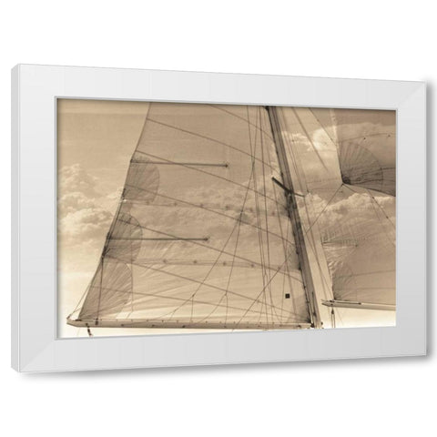 Nautical Dream I White Modern Wood Framed Art Print by Stevens, David